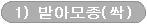 1) 발아모종(싹:1~2Cm) Main/편백나무 묘목