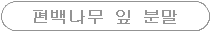 4. 편백나무 잎 분말 Main/편백나무용품